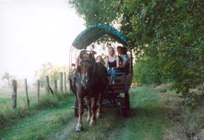 Agrandir l'image